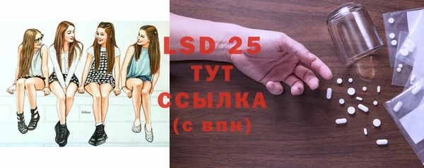 хмурый Алзамай