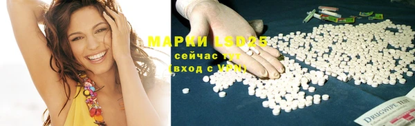 хмурый Алзамай