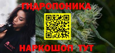 спиды Тверь