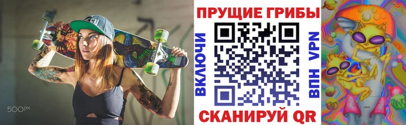 Галлюциногенные грибы прущие грибы  Осинники 