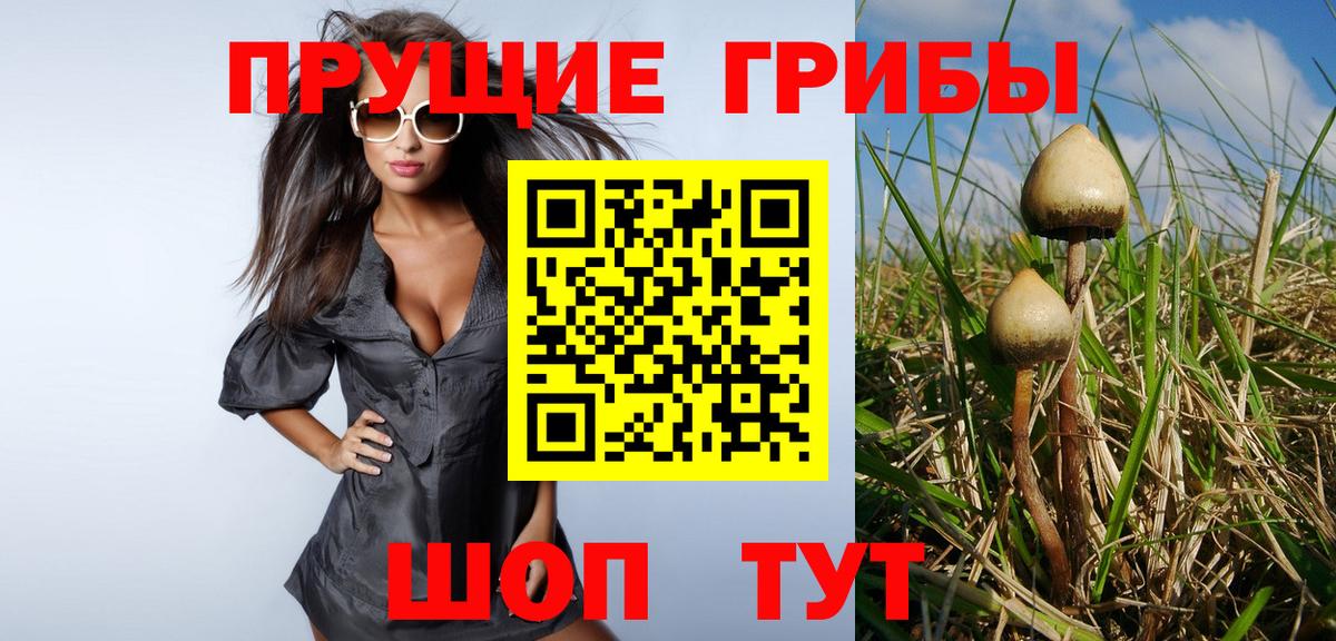 Осинники  Галлюциногенные грибы Cubensis  Вход с VPN 